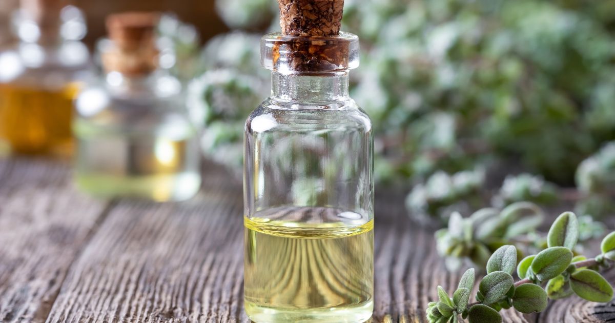 Olive Leaf Spanish Marjoram Essential Oil Olive Leaf Spanish Marjoram Essential Oil